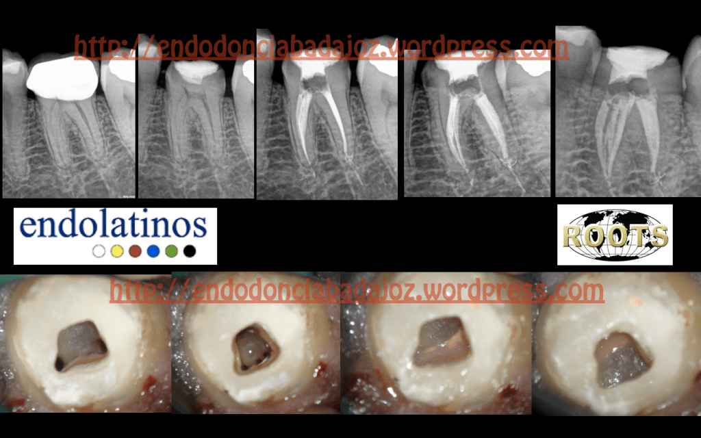 Captura de pantalla 2013-07-30 a la(s) 10.31.05