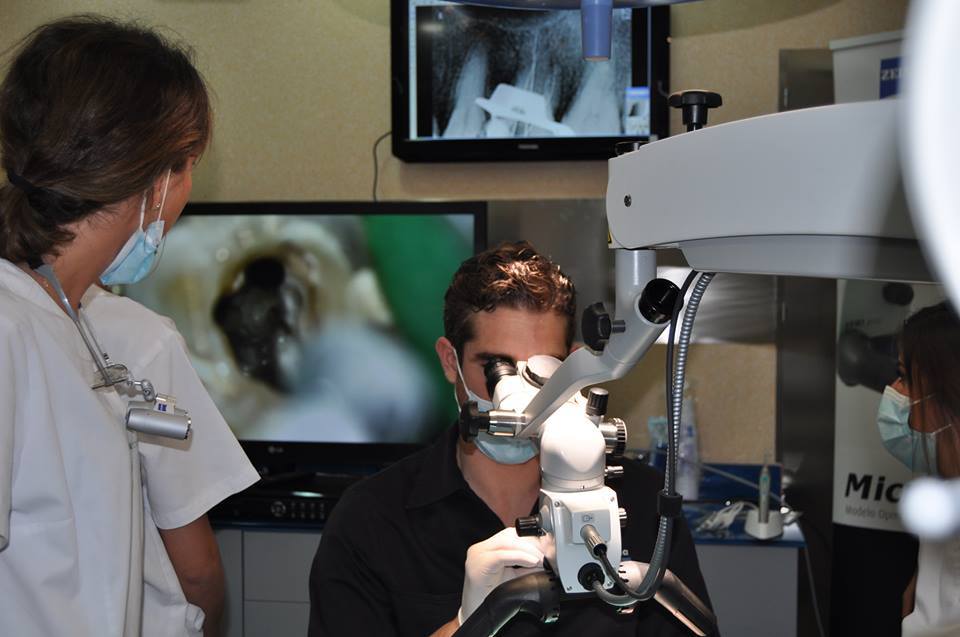 1045048_432033703570908_2140178587_n