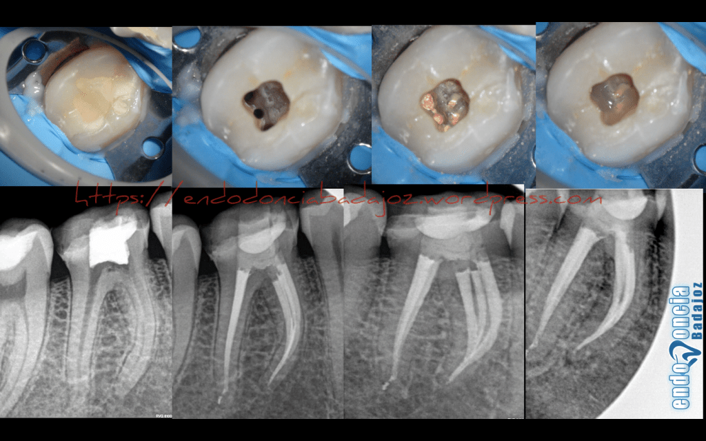 Captura de pantalla 2016-02-12 a las 14.55.22