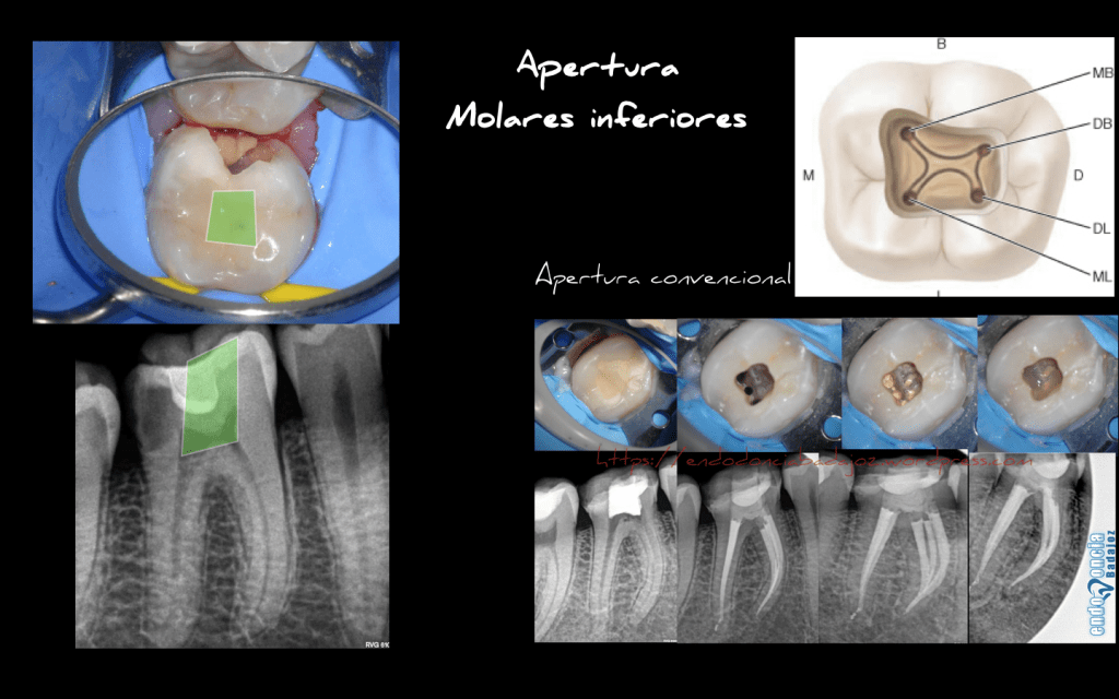Captura de pantalla 2016-06-21 a las 20.18.06